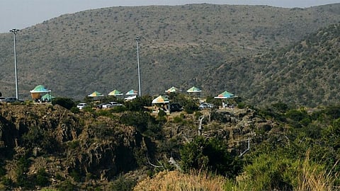 تنظيم للرعي يضع ضوابط للحفاظ على النباتات.. «البيئة» توضح