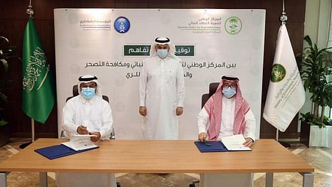 اتفاقية بين الخطوط الحديدية وأراسكو لنقل 2 مليون طن سنويًّا من المحاصيل والمواد الزراعية