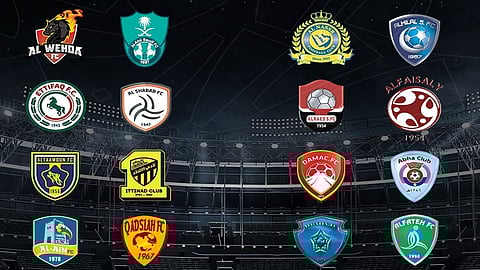 مطالب بتخفيض عدد الأجانب في دوري المحترفين.. وإعادة تنظيم البطولة الأولمبية