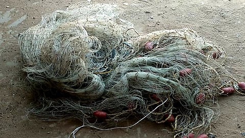 بالصور.. ضبط 5 مواطنين و3 مقيمين خالفوا أنظمة الصيد البحري بجدة