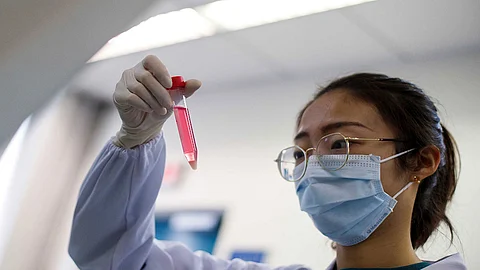 اليابان تستعين بـ«ديدان القز» لإنتاج لقاح مضاد لفيروس كورونا