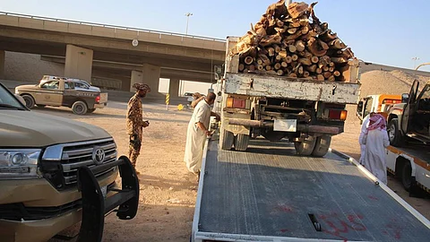 بحوزة 10 مخالفين.. ضبط 22.8 طن حطب محلي معد للبيع في الرياض