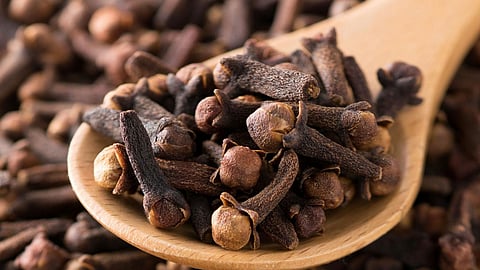 «القرنفل».. صيدلية طبيعية.. وتنبيه هام حول تأثير الزيت المستخلص منه