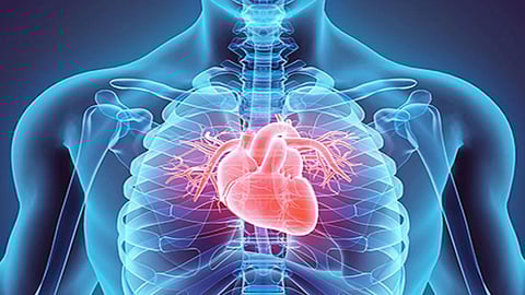 قائمة أطعمة للحماية من أمراض القلب والسكتات الدماغية.. تعرف عليها