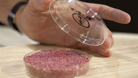 الأولى في العالم.. سنغافورة توافق على استخدام لحوم مستزرعة في المختبرات