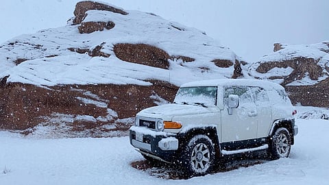 بالفيديو.. تساقط الثلوج في طريف.. وبعض الأهالي يرحبون بالزائر الأبيض