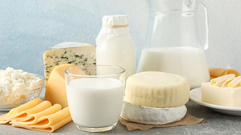 إخصائية توضح فوائد ومخاطر منتجات الألبان.. وتوجه تحذيرًا