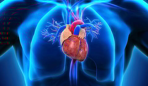 الدكتور «النمر»: 3 أسباب وراء ضيق دعامة القلب بعد تركيبها
