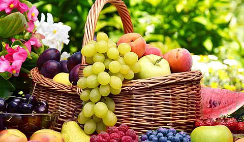 بالفيديو.. «التمیمي» يوضح الفائدة الأكبر لأكل الفاكهة أو عصرها