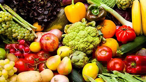 «الخضيري» يكشف الفرق بين الفواكه والخضراوات الطبيعية والمجففة