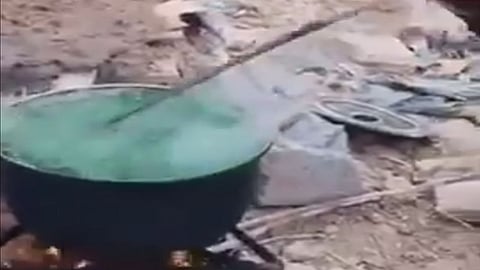 بالفيديو.. الإيرانيون يأكلون البرسيم لسد جوعهم