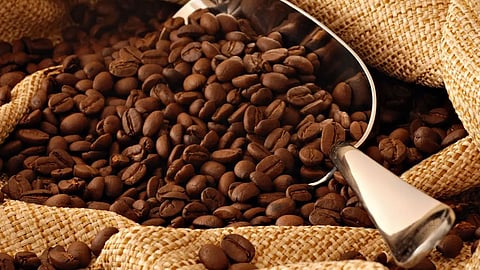 توقعات بارتفاع أسعار البن خلال العام الجديد