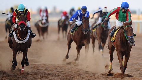 غدًا.. «فروسية حائل» يدشن حفل «السباق التاسع»