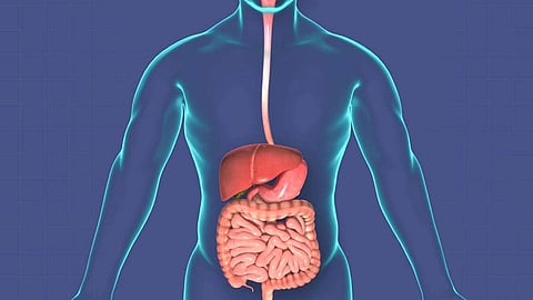 4 خطوات للتعامل مع حرقة المعدة.. وحالة تتطلب استشارة الطبيب
