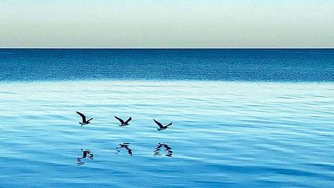 بالصور.. أملج تكتسي بحلة الشتاء وتأسر قلوب قاطنيها