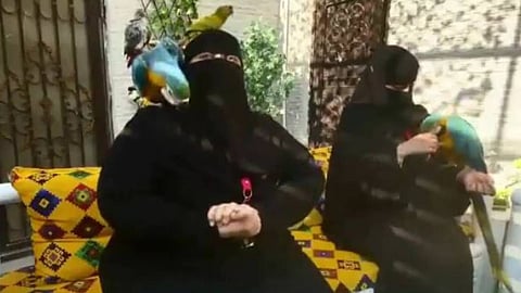 قصة «أم محمد».. سعودية تؤسس فندقًا وفريقًا نسائيًّا للعناية بالطيور الناطقة