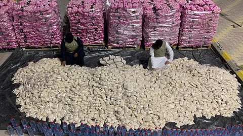 بالصور.. «المكافحة» تضبط 11.4 مليون قرص إمفيتامين وسط «الثوم»