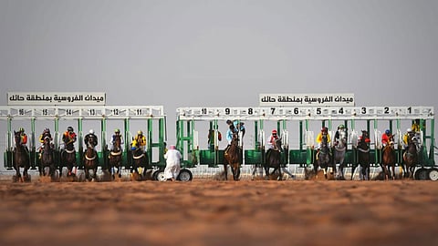 الأربعاء.. فروسية حائل تقيم السباق رقم «11» للموسم الحالي