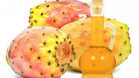 زيت بذور التين الشوكي.. إكسير الشباب والجمال