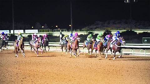 مهرجان كؤوس الملوك لسباقات الخيل يقدم للمشاركين 5.9 ملايين ريال