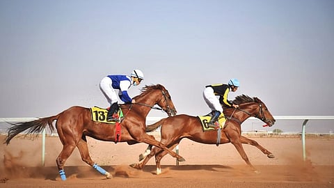 غدًا.. ميدان فروسية حائل يقيم حفل سباقه الثالث عشر