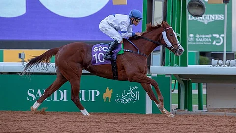 «الصاية» و«الدقلة» عنوان الأمسية العالمية لـ«كأس السعودية 2021»
