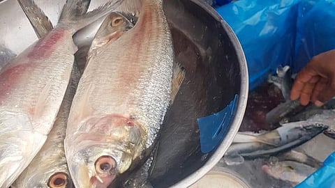 بالصور.. فرق التفتيش تغلق 9 منشآت تجارية مخالفة بمكة المكرمة