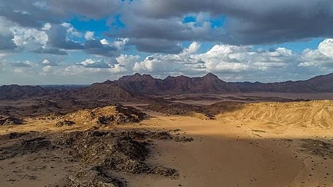 صحراء وجبل وبحر.. تبوك تستأثر بـ6% من التنوع الطبيعي بالمملكة