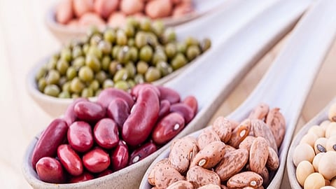 «اللجنة الوطنية للتغذية» تنصح بتناول البقوليات وتعدد فوائدها للجسم