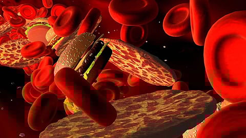 النمر يحدد 7 طرق لخفض مستوى الكوليسترول في الدم