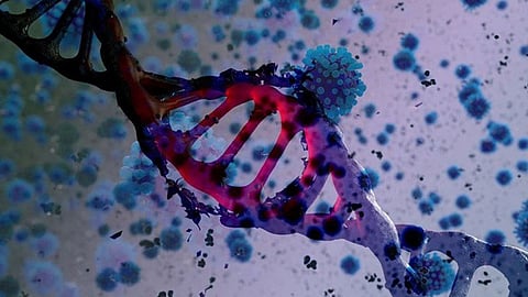 «كنت».. سلالة كورونا المتحورة قد تصبح الأكثر انتشارًا عالميًا