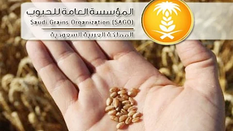 الوزير «الفضلي» يرأس الاجتماع الـ190 مجلس إدارة مؤسسة الحبوب