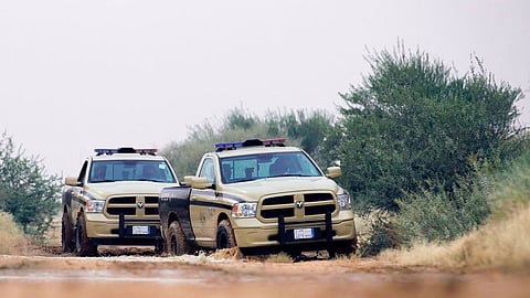 بالفيديو... الداخلية تضبط 57 مخالفًا باعوا حطبًا محليًّا في 10 مناطق