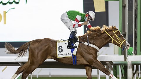 «فولي» نجم «تحدي الفرسان الدوليين» في «كأس السعودية»