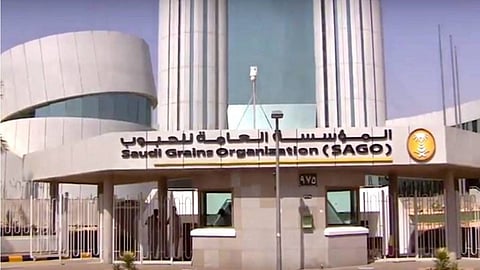 «الحبوب» تشتري 355 ألف طن قمح من الشركات السعودية بالخارج