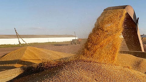 «سالك» تتعاقد على توريد 355 ألف طن قمح من استثماراتها في الخارج