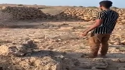 بالفيديو.. مواطن يطلق ظبي فرساني صغيرًا.. و«الحياة الفطرية»: شكرًا