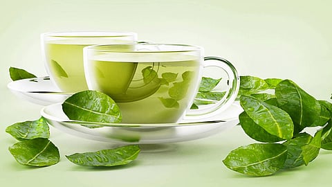 مها النمر تحذر 3 فئات من الحوامل: تجنبن الشاي الأخضر والزنجبيل