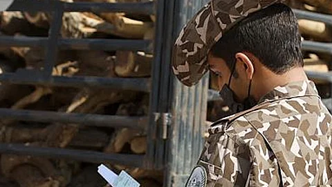 بالفيديو.. وزارة الداخلية تضبط 21 مخالفًا عرضوا 8 أطنان من الحطب المحلي للبيع