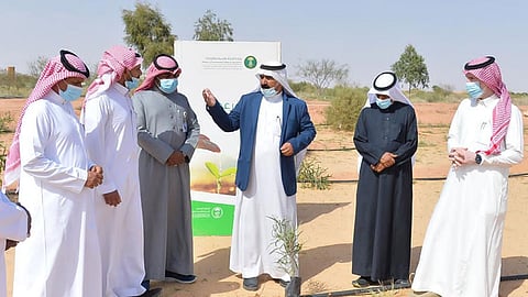إطلاق المرحلة السابعة من حملة «أرض القصيم خضراء»