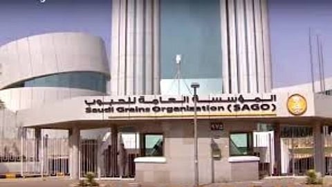 «الحبوب» تنهي إجراءات شراء 660 ألف طن من الشعير العلفي