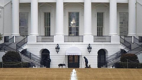 إبعاد كلبي الرئيس الأمريكي من البيت الأبيض بعد هجومهما على عنصر أمني