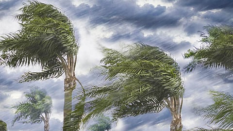 الزعاق يوضح أسباب ظهور الزواحف والثعابين خلال الأيام الجارية