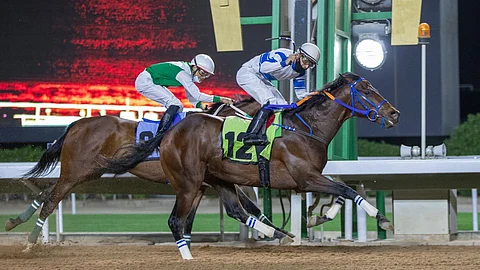 المهر مسبار الأمل ينال جائزة مساهمة نادي سباقات الخيل.. وابن قامة ينال التقديرية