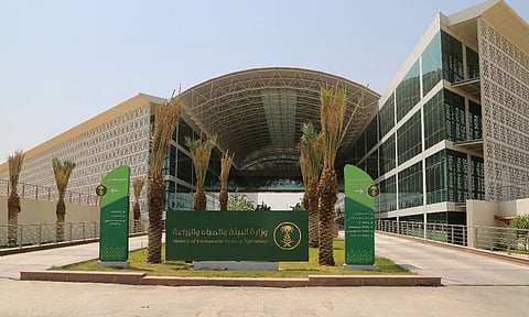 بدء تطبيق لائحة إعادة التأهيل البيئي للمواقع المتدهورة والملوثة