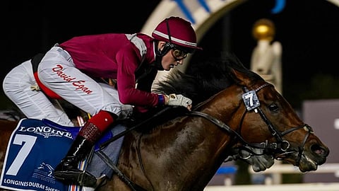 الجواد «مشرف» يتألق بكأس دبي العالمية.. ووزير الرياضة: مبروك للوطن