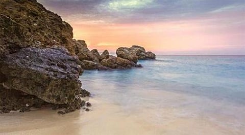 إطلاق حملة لإعادة التأهيل البيئي لجزيرة جبل الصبايا ومحمية جزر أم القماري