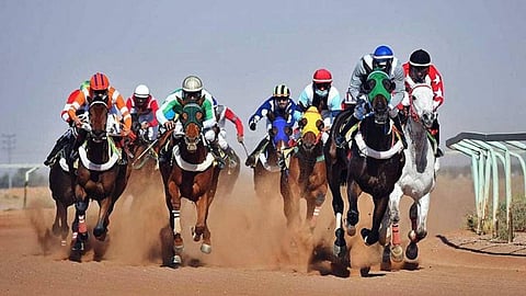 غدًا.. نائب أمير حائل يرعى حفل السباق الـ21 للفروسية بالمنطقة 