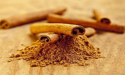 إخصائية تغذية تكشف فوائد إضافة «القرفة» إلى الطعام