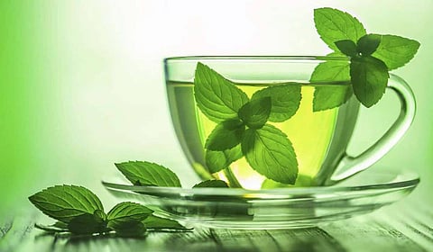 للطفح الجلدي والصداع وآلام المعدة.. علاجات منزلية لا غنى عنها